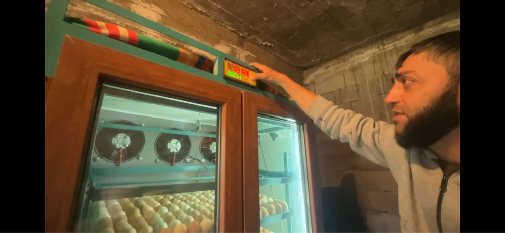 Инкубатор Номад 1000яиц