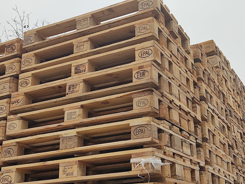 Poddon paddon optim Turli Razmerdagi Palet 40000 Mindan boshlanadi