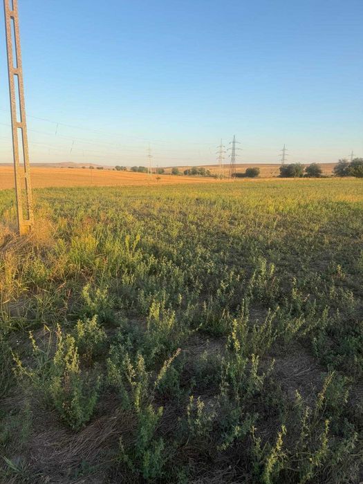 Teren intravilan 4.003 mp Frecatei, Tulcea - drum pe 3 laturi, curent