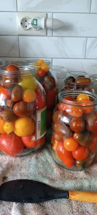 Продам соленья домашние