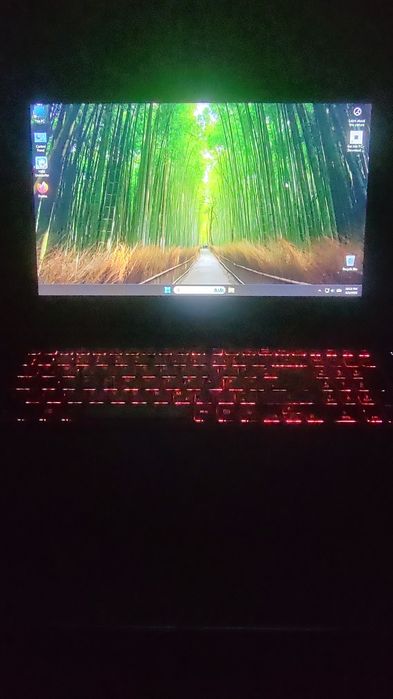 Acer Gaming video 4GB dedicat