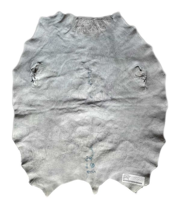 Автентична кожа от тюлен, традиционен лов на инуитите в Гренландия