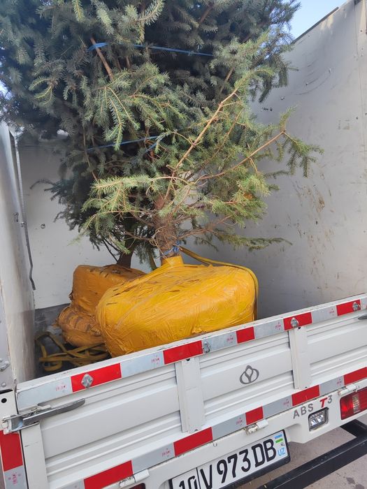 Musir Musor Musur olib ketish. Вывоз мусора Мусор строительный на Ча