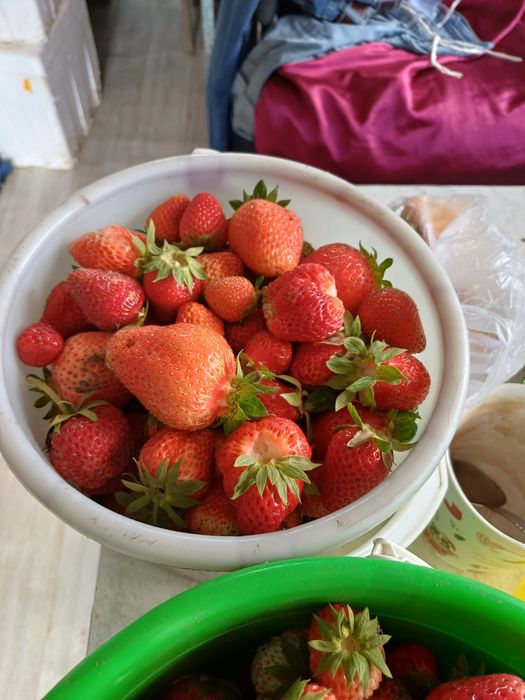 Продам клубнику дачную.