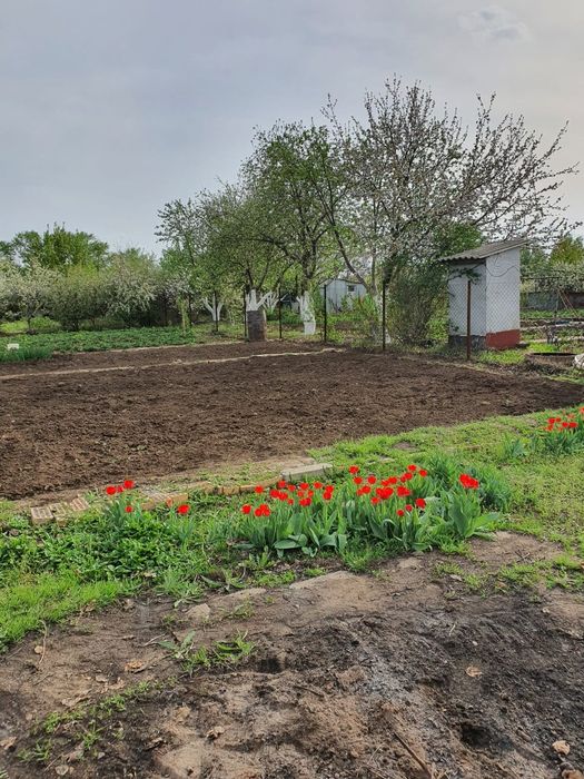 Продам дачу 10 соток с домиком