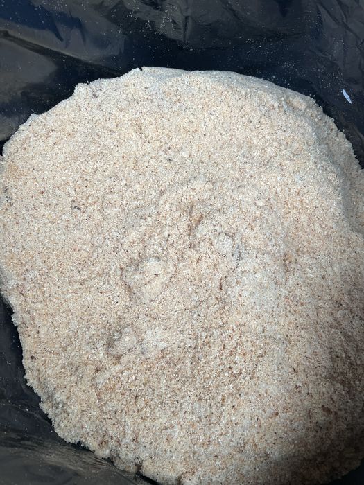 vand rumegus brad verde