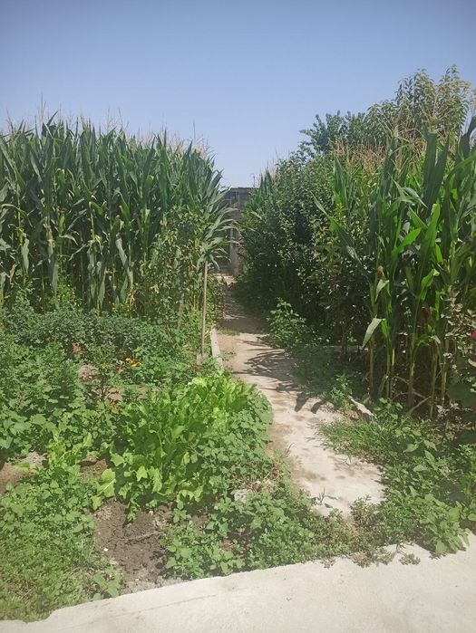 Срочно продается свой дом