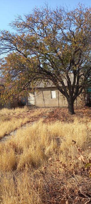 Дача золотая середина