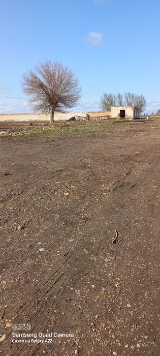 Навбахор янги кургонда 2,5 гектар молхона доимий кадастр сув свет жои