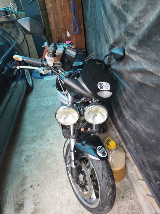 Triumph Speed triple 955i