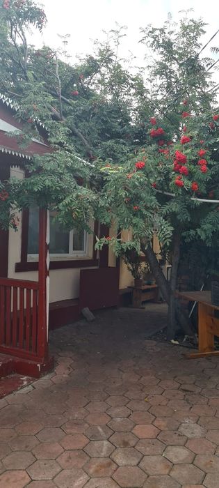 Продаём дом с магазином в Бурабай