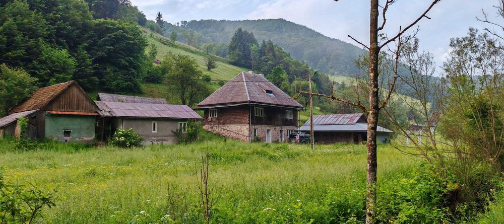 Casă de vânzare Avram Iancu AB