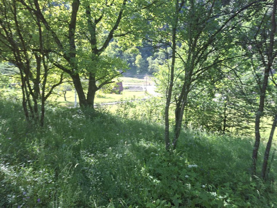 Vînd teren la munte în  Râu Sadului jud.Sibiu intravilan pozitie farte buna