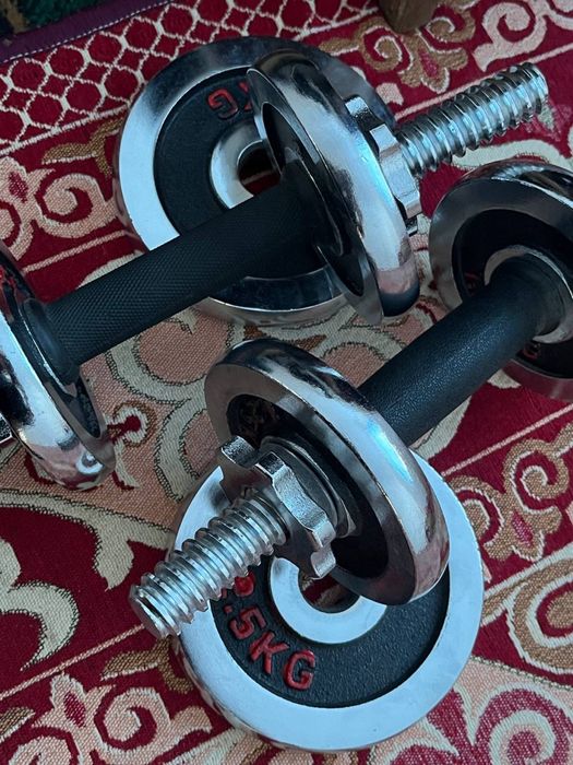 Гантель 20кг разборный