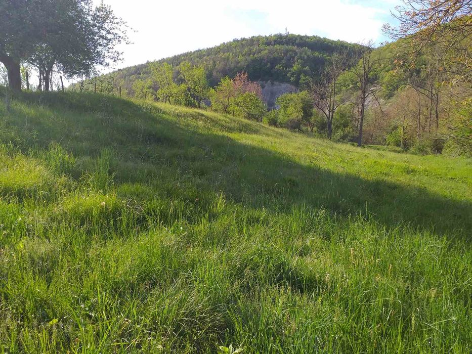 Продава се Парцел в Горна Оряховица - 1800 кв.м за 6 €/кв.м - Снимка #6