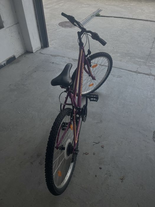 Bicicleta Dama Simpla