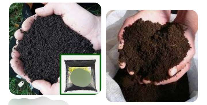 Zoogumus  (зоогумус -черной львинки)