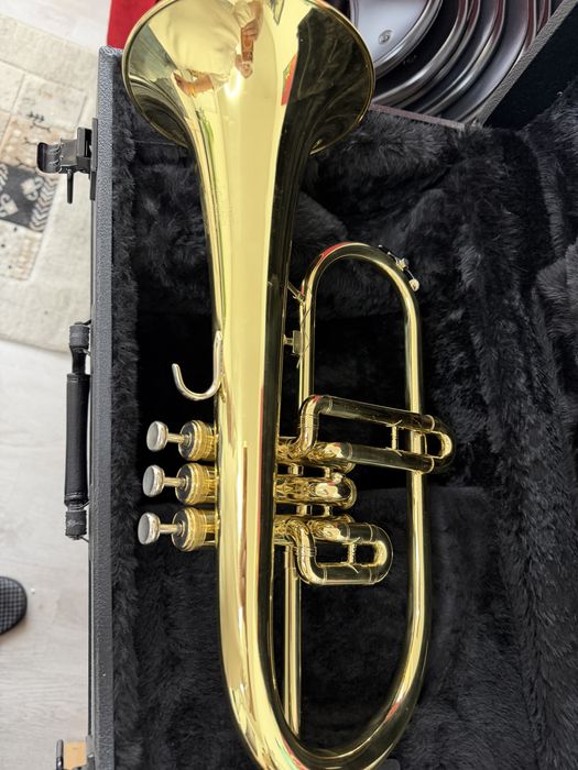 Flighorn King 650, cu cutie, mustiuc