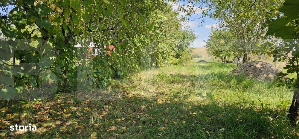 Teren extravilan de vanzare, 4000 mp, zona Simeria