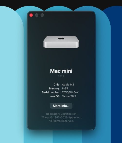 Mac mini M2 (8 GB RAM)