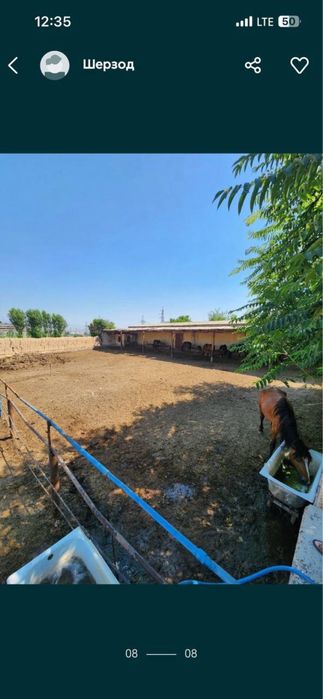 Продаю ферму в Кибрае