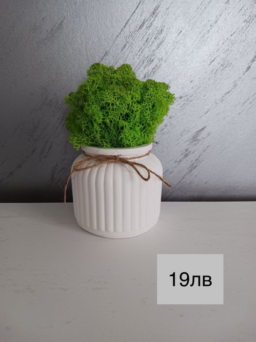 Декоративни кашпи с естествен скандинавски мъх