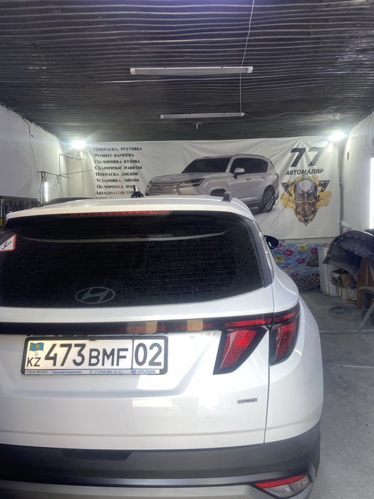 Кастоправ маляр покраска