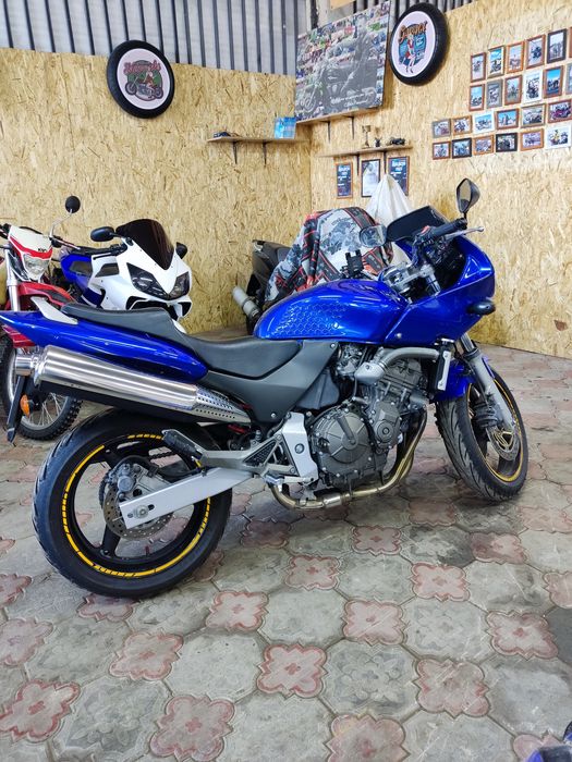 Honda CB 600 S Hornet