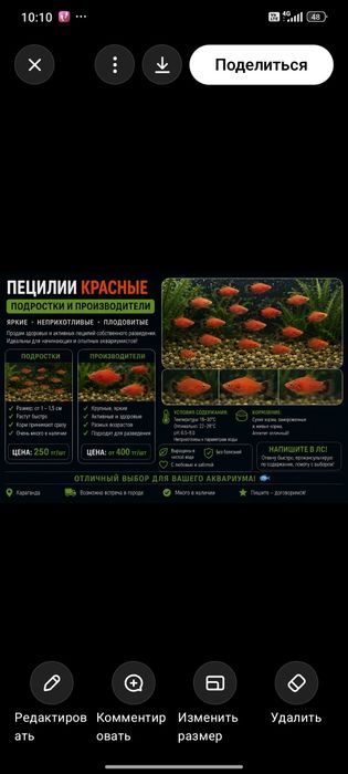 Рыбки пецилии и моллинезии