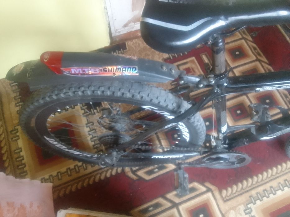 Kafort velik yaxshi holari