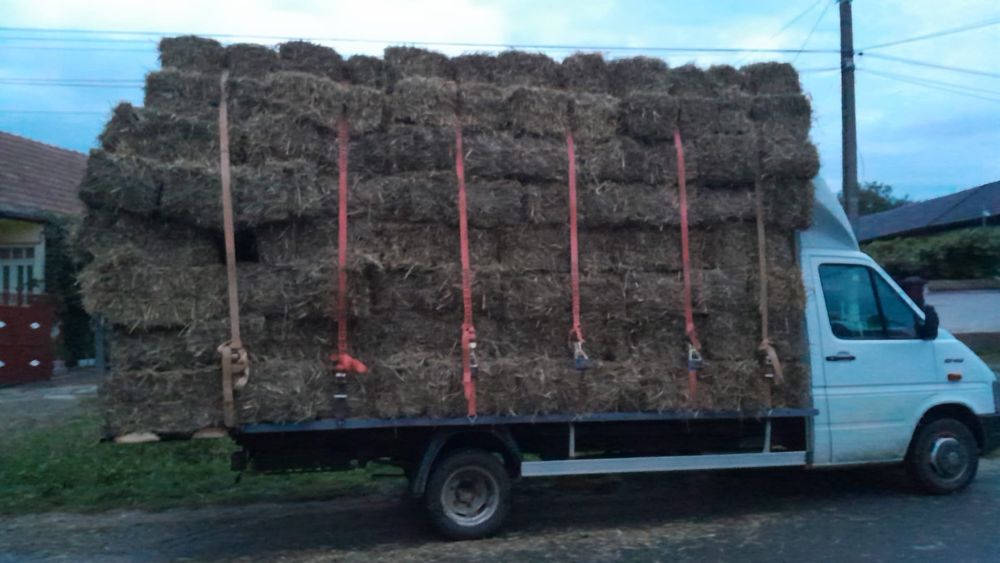 Baloti lucerna fan otava