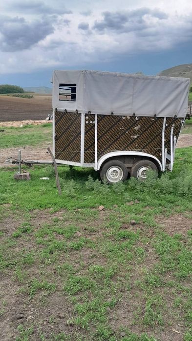 Vând remorca de cai