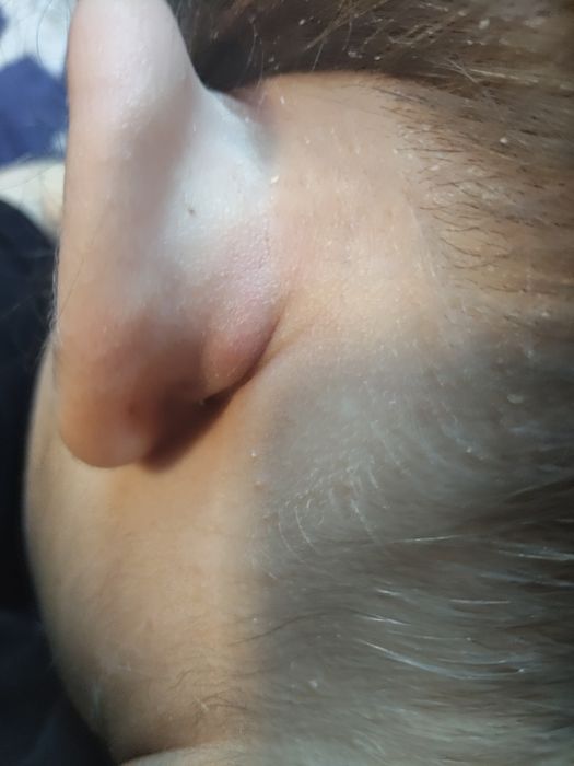 Aparat de masaj pentru picioare cu presapunctura și încălzire