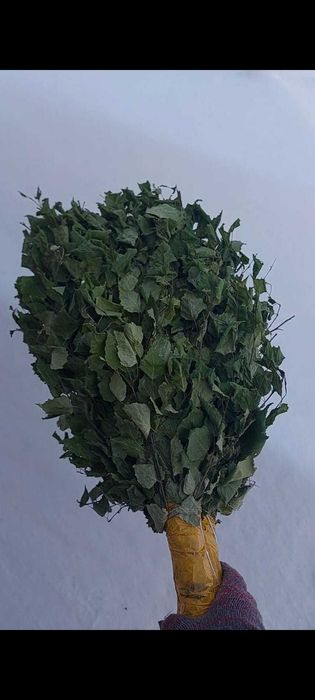 Березовые веники