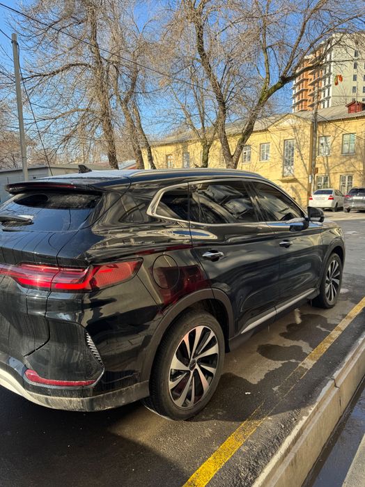 Byd champion 605 qora