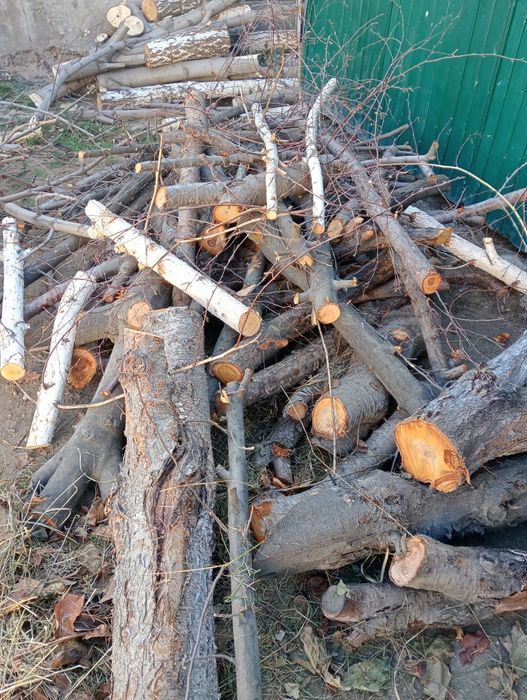 Продам дрова для бани разные