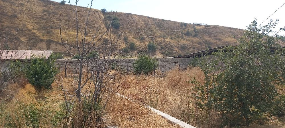 Ferma sotiladi .daca zona