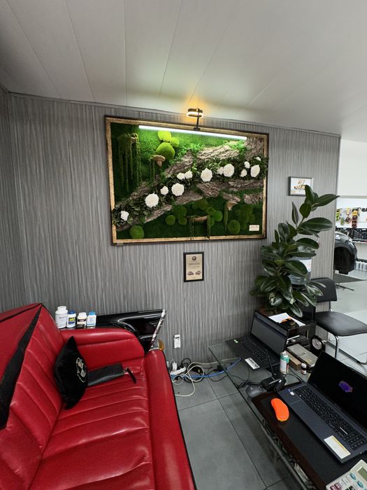 Стабилизированное озеленение| Мох | Фитостена| Mox|Fitostena|