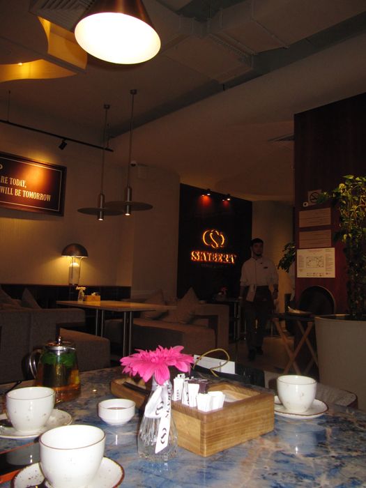 Камера Canon sx200is