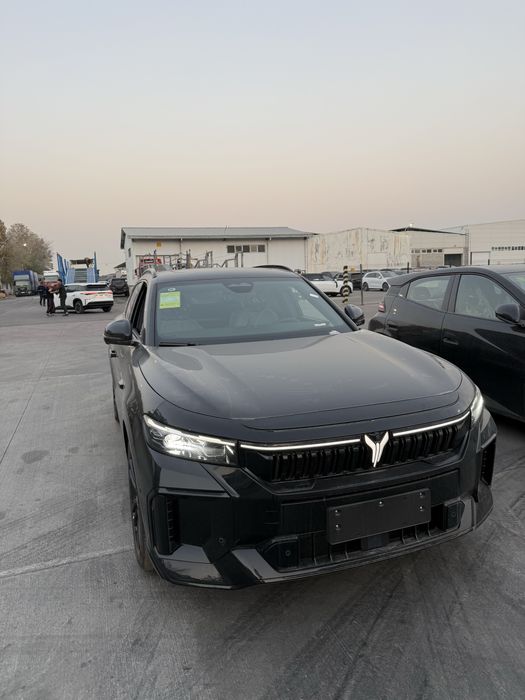 Voyah Free 318/2025 Qorag/Qora