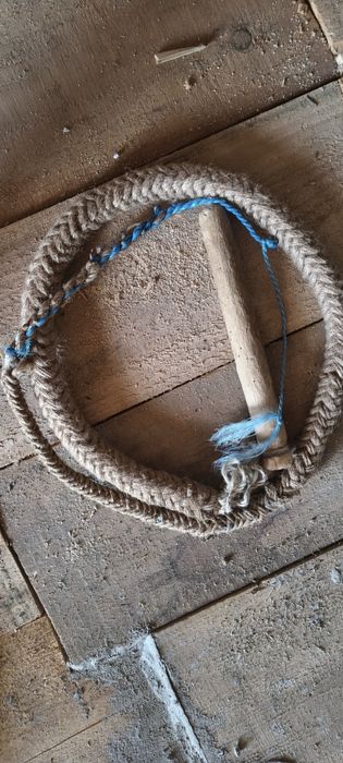 Bice de plugușor