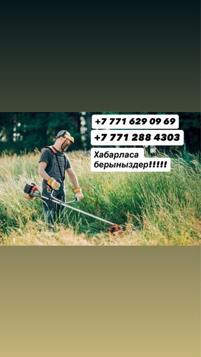 Шымкент қаласы бойынша шөп ору, хабарласа беринздер!