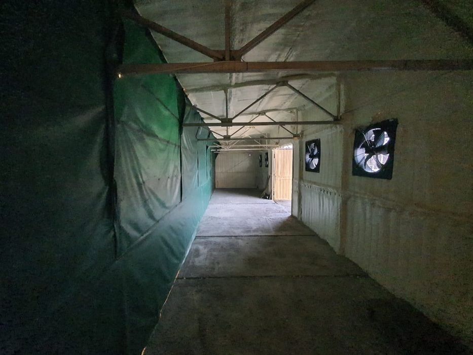 Продам майнинг отель на 100 асиков