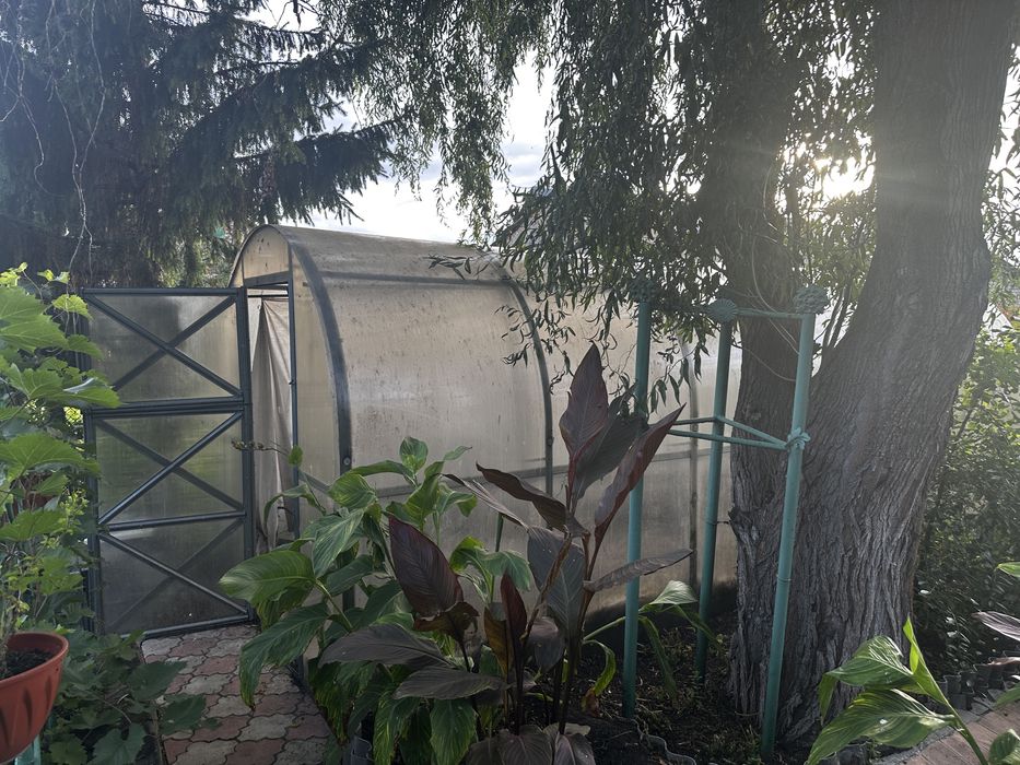 Теплица 2 на 6 метров нержавейка