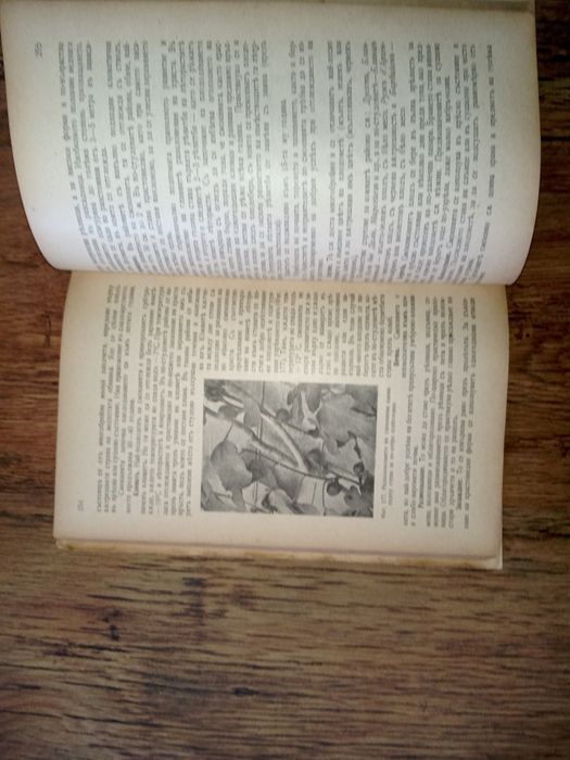 Ръководство по овощарство 1942 година