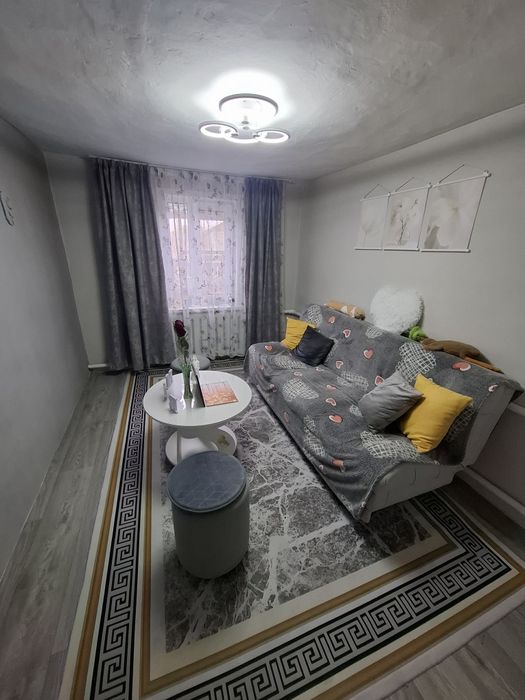 Дом на 2 хозяина