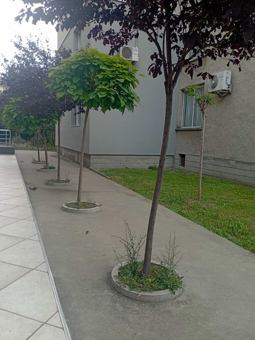 Продава се Многостаен апартамент в Казанлък - 118 кв.м за 908 €/кв.м - Снимка #1