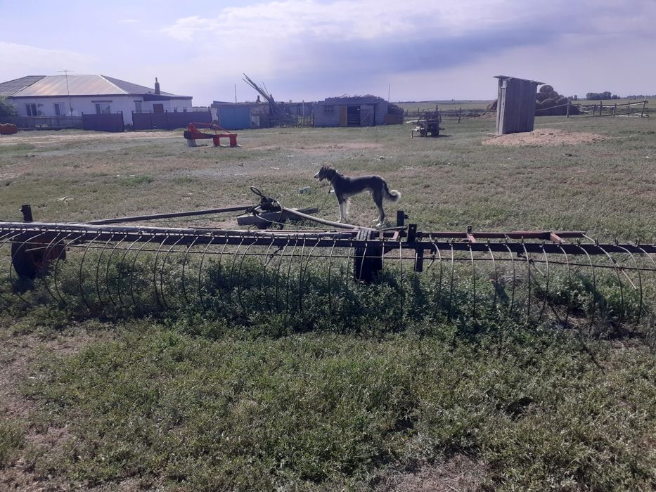 Грабли для сенокоса