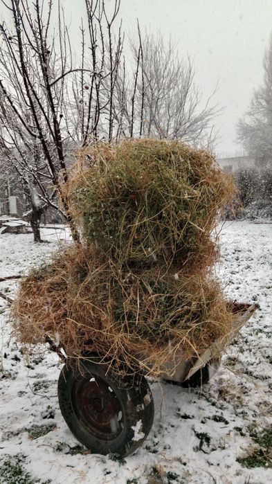 Беда прес сотилади нархи келишилади