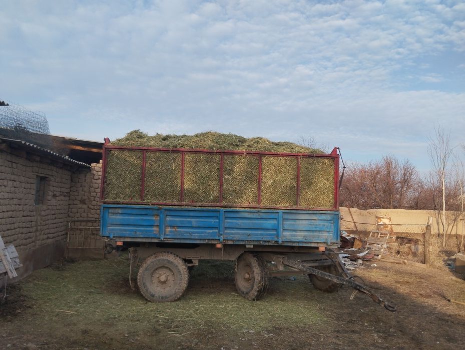 Жоңышқа бар майдаланган